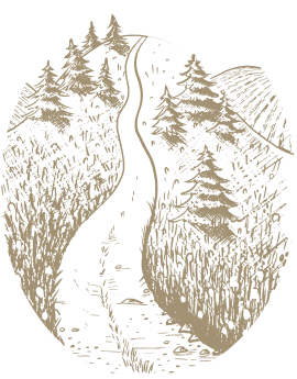 Image representing the value: ATEITIS