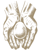 Image representing the value: RŪPINIMASIS