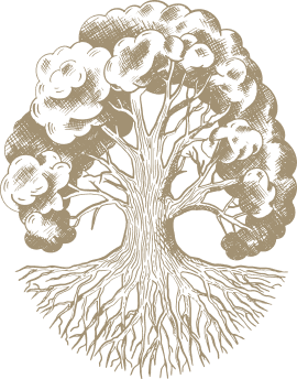 Image representing the value: ŠAKNYS